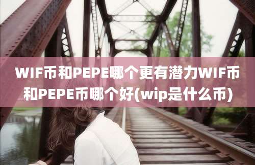 WIF币和PEPE哪个更有潜力WIF币和PEPE币哪个好(wip是什么币)