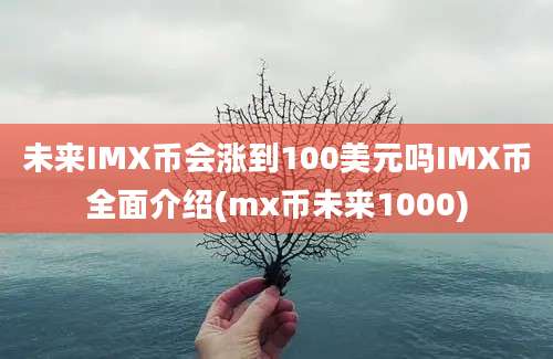 未来IMX币会涨到100美元吗IMX币全面介绍(mx币未来1000)